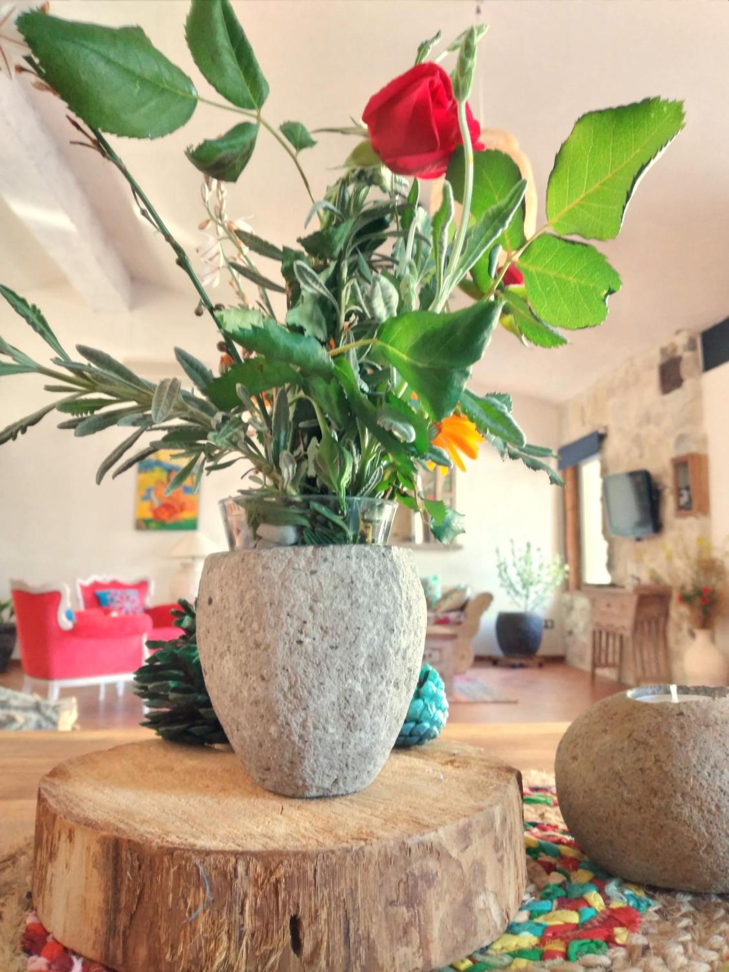 Castilléjar Loft Carriones 빌라 외부 사진